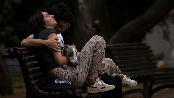 হাইকোর্টের যুগান্তকারী রায়! প্রাপ্তবয়স্করা লিভ-ইন সম্পর্কে থাকতে পারবেন, আর কী কী বলল আদালত? জানুন