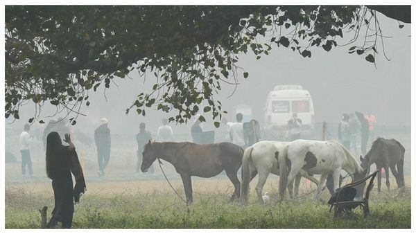 উত্তর ও দক্ষিণে কুয়াশার চাদর, কলকাতা সহ রাজ্যজুড়ে নতুন বছরে আবহাওয়ার চমক