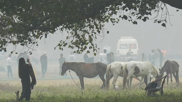বড়দিনেই শীতলতম দিন! কলকাতায় ১৩.৭ ও দার্জিলিংয়ে সাড়ে চার ডিগ্রি সেলসিয়াস