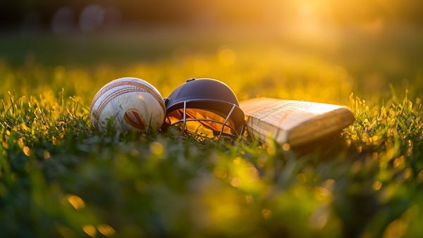 এক ওভারে পাঁচ উইকেট! টি২০ আন্তর্জাতিকে বিশ্বরেকর্ড ইন্দোনেশিয়ার গেদ প্রিয়ন্দনার