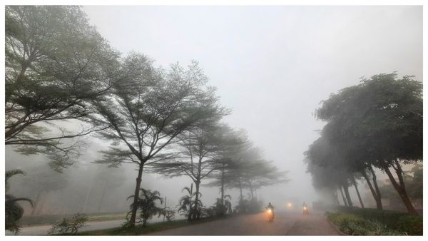 শীতের রি এন্ট্রি! দক্ষিণবঙ্গের ছয় জেলায় ফের ঠান্ডার ছোঁয়া, উত্তরবঙ্গে জমে শীতের আমেজ