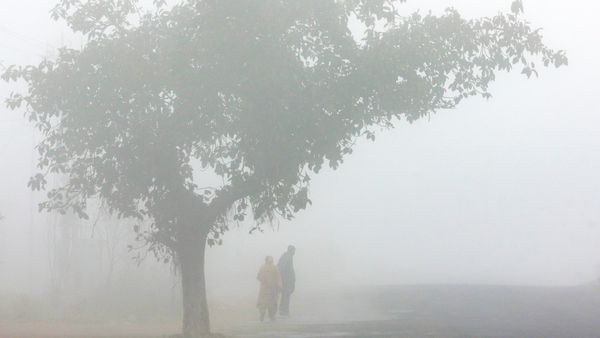 দার্জিলিং অথবা কাশ্মীর নয়, শীতের চমক পুরুলিয়ায়! খড়ের গাদায় জমল বরফ, দেখার জন্য ভিড় জমিয়েছেন স্থানীয়রা