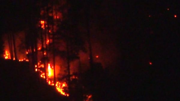 ভয়াবহ দাবানলে জ্বলছে সিকিম! নেই বরফ, শুধু লেলিহান শিখা, চিন সীমান্তে বাড়ছে উদ্বেগ, কীভাবে ছড়াচ্ছে আগুন?