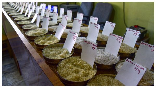 বাসমতি বাণিজ্যে অস্থিরতা! ইরানে অশান্তি ও ট্রাম্পের ২৫% শুল্কে ভারতের চাল রপ্তানি ও দামের ওপর কী প্রভাব পড়বে?