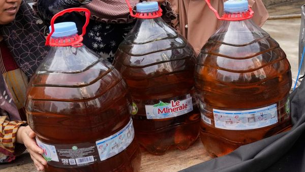 সুখবর! দেশব্যাপী দাম কমবে রান্নার তেলের, কারণ কী? কবে থেকে? জানুন বিস্তারিত