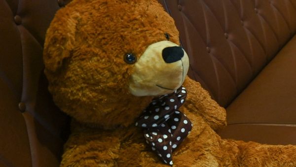 শিশুদের টার্গেট করে ব্যবসা! লোভ দেখিয়ে নির্যাতন, ডিজিটাল প্রমাণে ধরা পড়ে মৃত্যুদণ্ড পেল দম্পতি, ঘটনা কী?