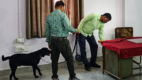 'উড়িয়ে দেওয়া হবে, RDX রাখা', কলকাতা-সহ বহু জেলার আদালতে ইমেল, ঘটনা কী? শোরগোল বাংলায়