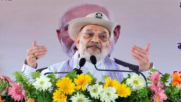 'বিজেপি ক্ষমতায় এলে প্রথম কাজ হবে...'! বড় বার্তা অমিত শাহের, আর কী বললেন তিনি?