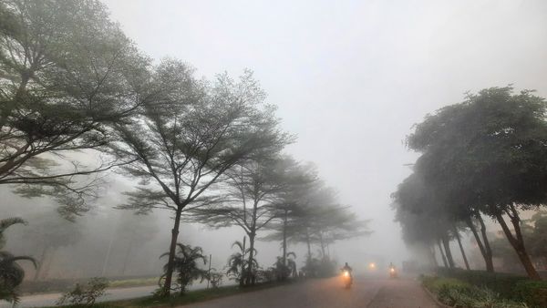 ফেব্রুয়ারির শুরুতেই হালকা ঠান্ডার ছোঁয়া! কমতে শুরু করেছে তাপমাত্রা, তবে কী আর কনকনে শীতের সম্ভাবনা নেই?