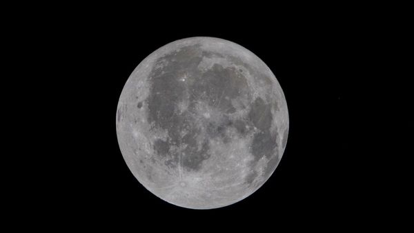 আর্টেমিস ২: চাঁদের অন্ধকার পিঠের অভূতপূর্ব ভিডিও শেয়ার করলেন মাস্ক