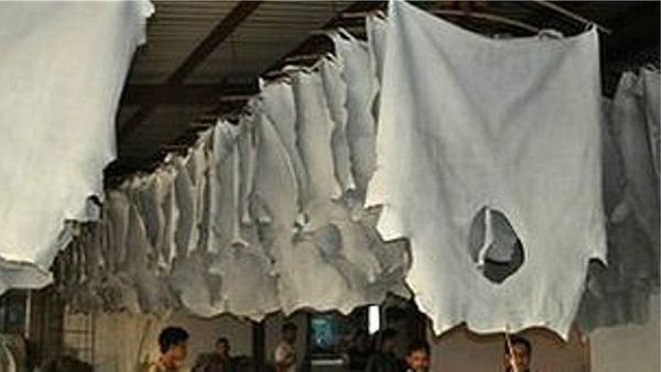 বাংলাদেশে হাজারীবাগের সব ট্যানারি বন্ধের নির্দেশ