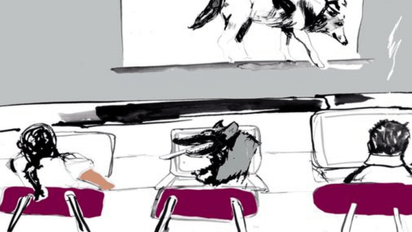 সোশ্যাল মিডিয়া বাচ্চাদের 'মানসিক সমস্যা তৈরি করছে'