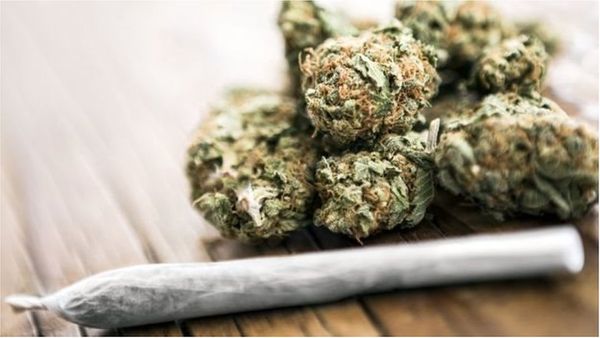 কিশোরদের মস্তিষ্কের জন্য গাঁজা ক্ষতিকর: গবেষণার ফলাফল