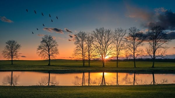 মনের সুস্থতায় যে কথাগুলো জাদুর মতো কাজে আসে