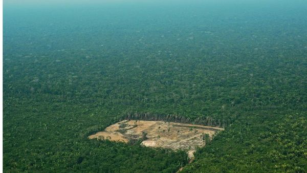 পরিবেশ রক্ষার জন্য 'একদিন পর পর মলত্যাগ করুন' : ব্রাজিলের প্রেসিডেন্ট জেইর বলসোনারো