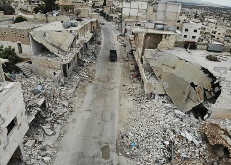 সিরিয়ার যে শহরে মানুষের চেয়ে বিড়াল বেশি