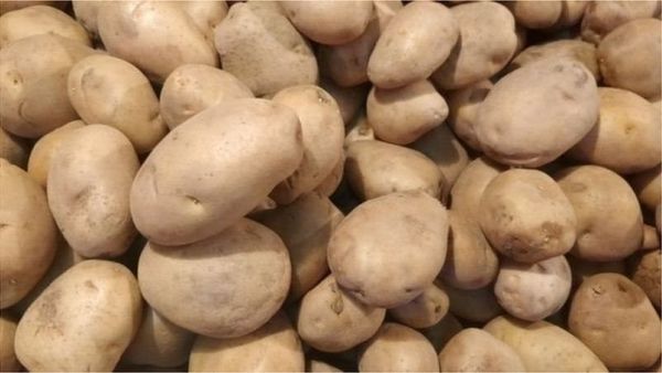 কৃষিপণ্য: পেঁয়াজ-সহ ১৪টি পণ্যের উৎপাদন খরচ চূড়ান্ত, কী লাভ হচ্ছে কৃষক কিংবা ভোক্তার