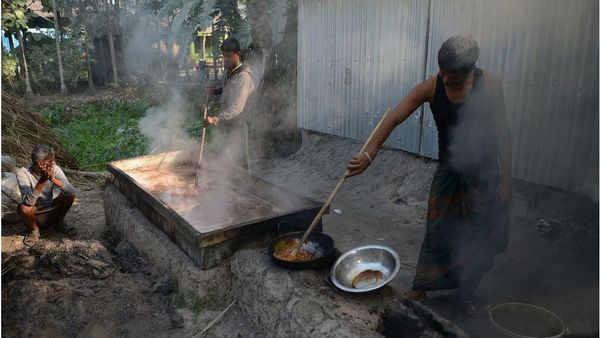 নিপাহ্‌ ভাইরাস: খেজুরের রস খাওয়ার আগে সতর্ক থাকতে যা করণীয়