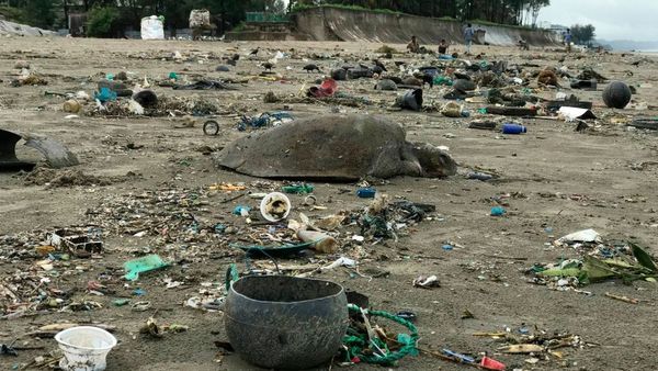 খাদ্য নিরাপত্তা: বাংলাদেশের নামী দামী ব্র্যান্ডের লবণেও পাওয়া গেছে প্লাস্টিকের ক্ষুদ্র কণা