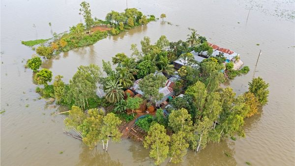 শিক্ষা: খুলনার যে প্রাথমিক স্কুলে পড়ে মাত্র একজন শিক্ষার্থী