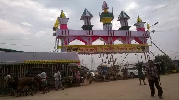 ঈদ: 'কোরবানির সময় এত গরু, বছরের অন্য সময় সঙ্কট কেন'?