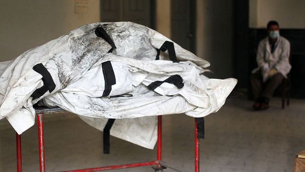 ফরেনসিক পরীক্ষা: চীনে মশার সূত্র ধরে চোর ধরা হলো যেভাবে