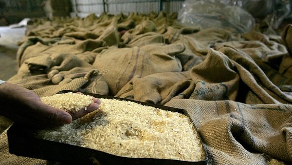 চাল রপ্তানিতে বিধিনিষেধের ফলে বিপুল ক্ষতির মুখে রপ্তানিকারকরা