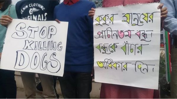 কুকুরের কামড়ে বাংলাদেশে প্রতিবছর আহত হয় দু'লাখেরও বেশি মানুষ