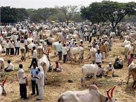 'કાવેરી નદીના પ્રવાહને રોકવામાં નહી આવે તો ટેક્સ ભરીશું નહી'