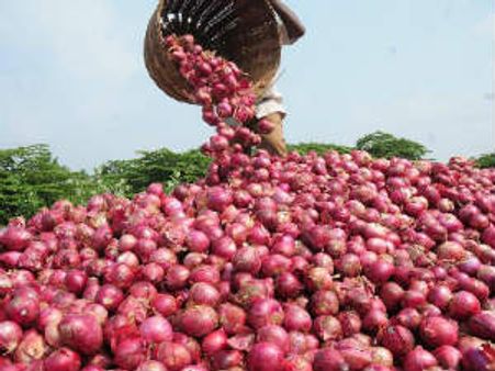 આવનારા દિવસોમાં ડુંગળી ફરી રડાવી શકે