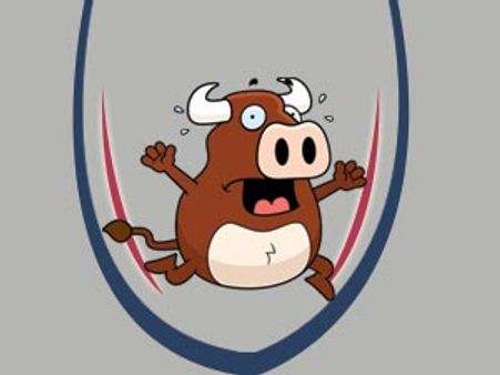 હવે ડેક્કન ચાર્જર્સ IPLમાં નહીં રમી શકે