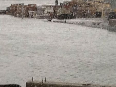 સેંડીએ મચાવી તબાહી