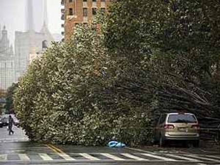 શું હવે બાળકોના નામ રખાશે નીલમ અને સૅન્ડી?