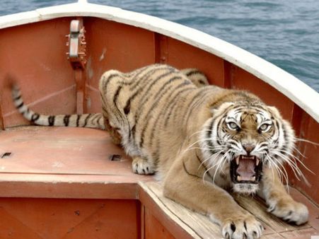 બંગાળ ટાઇગર