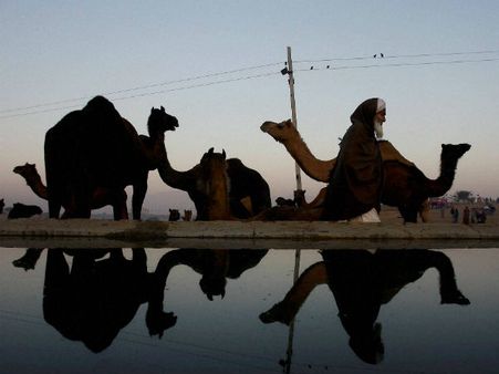 ઊંટના વેચાણથી પ્રખ્યાત મેળો