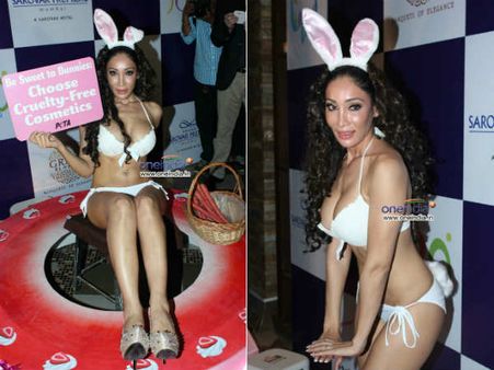 હૉટ અંદાજ-સારો ઉદ્દેશ