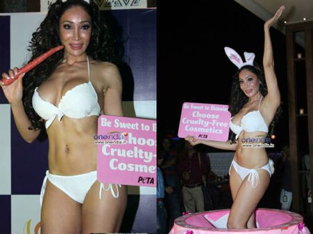 Pics : સોફિયાએ કરી ચરબીમુક્ત કૉસ્મેટિક્સ વાપરવાની અપીલ