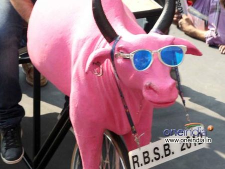 Pics : પુખ્તો જ જોઈ શકશે મટરૂની ગુલાબી ભેંસ !