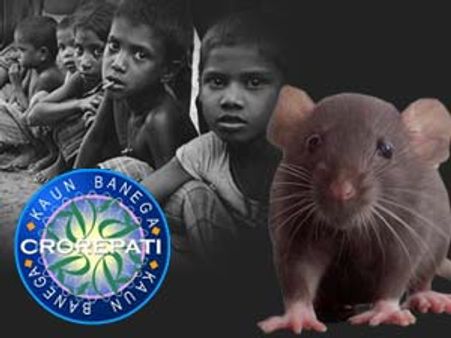 KBC Exclusive : એક એવું ગામ કે જ્યાં લોકો ઉંદર ખાય છે