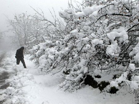 જમ્મુ-કાશ્મીરમાં હિમવર્ષાથી સર્જાઇ સફેદ સુંદરતા