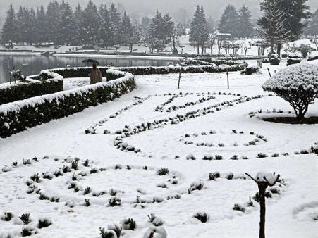 જમ્મુ-કાશ્મીરમાં હિમવર્ષાથી સર્જાઇ સફેદ સુંદરતા