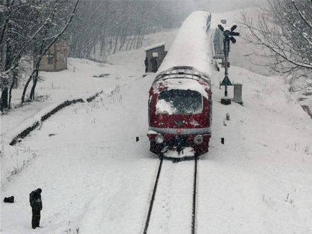 જમ્મુ-કાશ્મીરમાં હિમવર્ષાથી સર્જાઇ સફેદ સુંદરતા