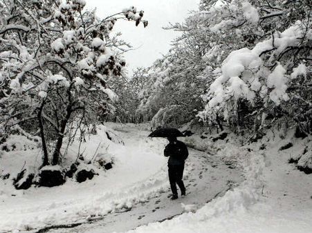 જમ્મુ-કાશ્મીરમાં હિમવર્ષાથી સર્જાઇ સફેદ સુંદરતા