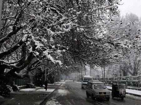 જમ્મુ-કાશ્મીરમાં હિમવર્ષાથી સર્જાઇ સફેદ સુંદરતા