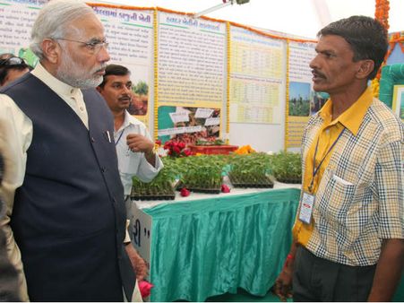 પ૦૦થી વધુ જાતના પ૦ હજારથી વધુ રોપાઓનું પ્રદર્શન