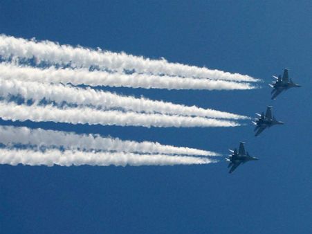 દિલ્હી ખાતે 64માં પ્રજાસત્તાક દિનની ઉજવણી દિલ્હી ખાતે 64માં પ્રજાસત્તાક દિનની ઉજવણી