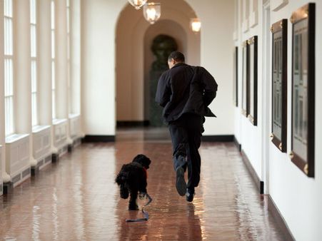 અમેરિકાના રાષ્ટ્રપતિ બરાક ઓબામા શા માટે લોકપ્રિય છે તેનો ખ્યાલ આપતી તસવીરો