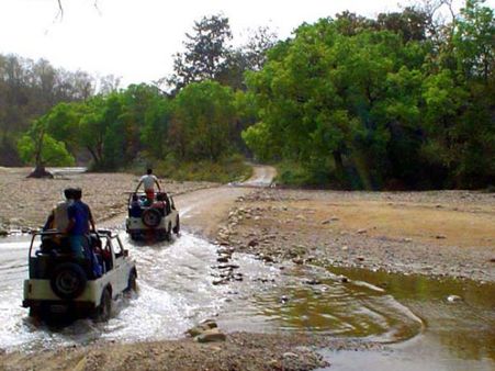 જાંબુઘોડા અભ્યારણ્ય જાંબુઘોડા અભ્યારણ્ય