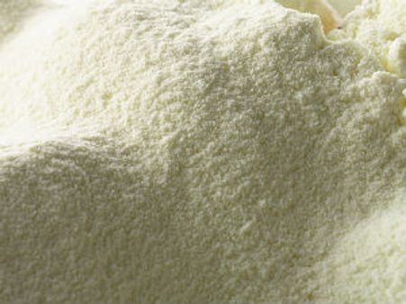 જર્મનીને દૂધ પાવડર નિકાસ કરશે ભારત