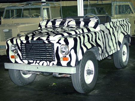 શેખે બનાવી વાહનોની અજીબ દૂનિયા